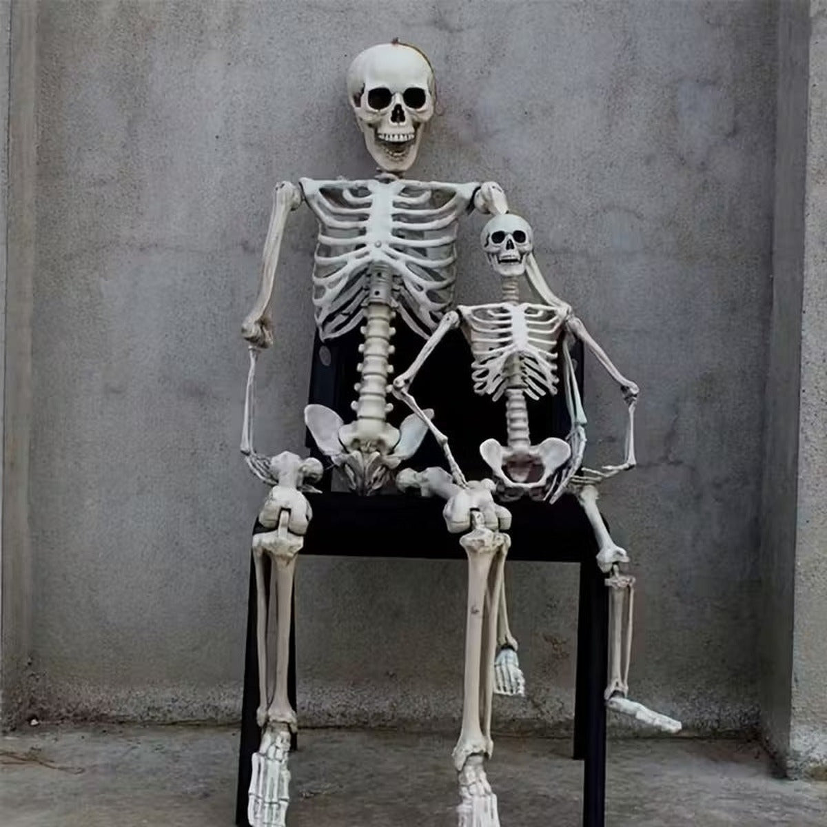 Two posable skeletons sitting on a chair