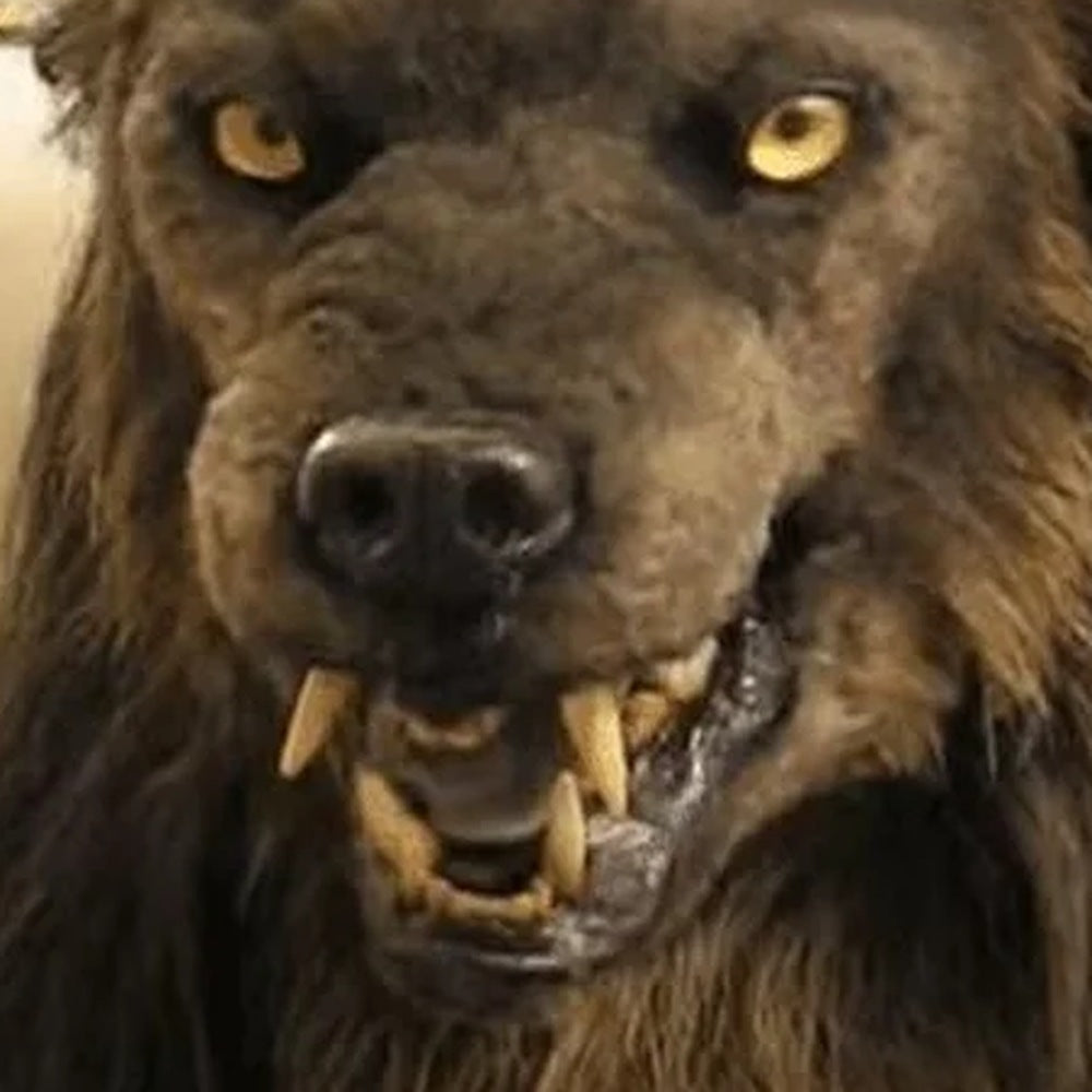 Brown werewolf mask with faux fur mane, yellow eyes, worn by person | Chaps London