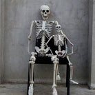 Two posable skeletons sitting on a chair