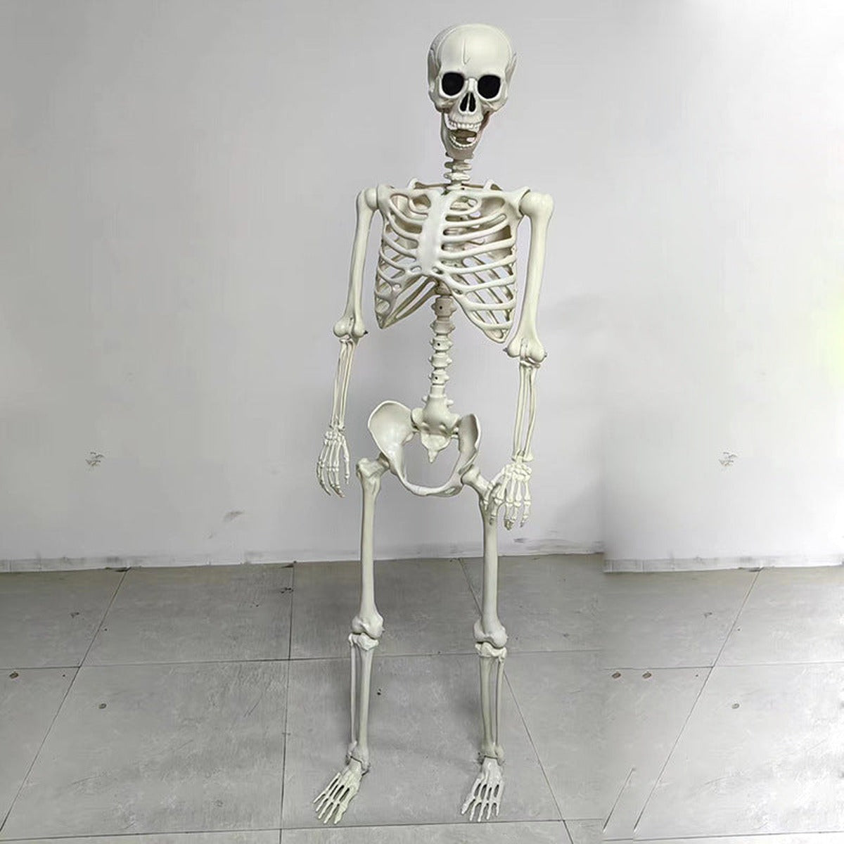 White plastic skeleton decoration standing freely on tiled indoor floor | Chaps London