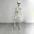White plastic skeleton decoration standing freely on tiled indoor floor | Chaps London