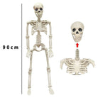 White plastic skeleton figure with detachable head, shown standing full-length | Chaps London