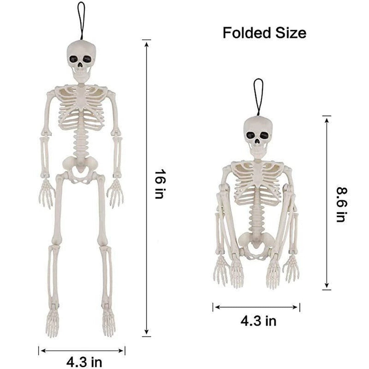 White plastic skeleton figure shown standing full size and folded compact | Chaps London