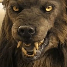 Brown werewolf mask with faux fur mane, yellow eyes, worn by person | Chaps London