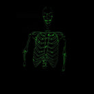 Glow-in-the-dark green skeleton print on black hoodie, upper body shown | Chaps London