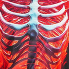 Close-up of red flame skeleton ribcage design printed on fabric garment | Chaps London