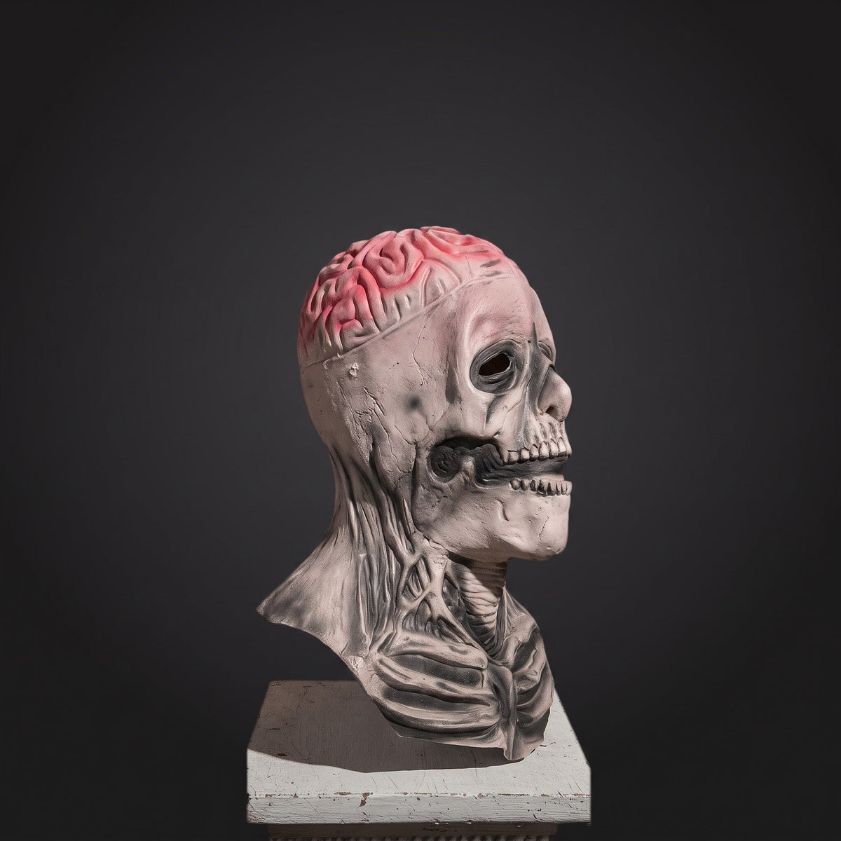 Latex skull mask with pink exposed brain, displayed on mannequin bust | Chaps London