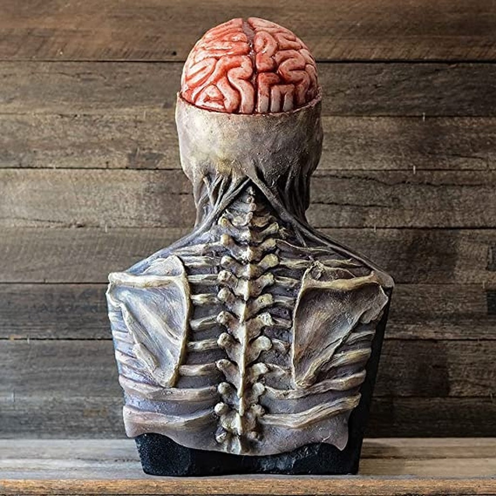 Full head mask displayed on stand, showing exposed brain and spine detail | Chaps London