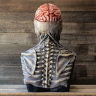 Full head mask displayed on stand, showing exposed brain and spine detail | Chaps London