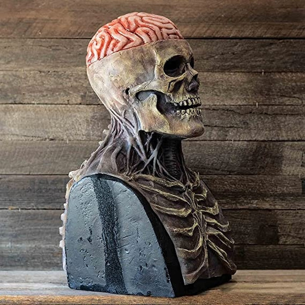 Skull mask bust with exposed brain and spine on stand | Chaps London